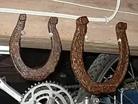 Horseshoes 002.webp