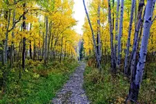 9-29c.webp