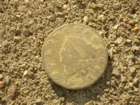 12-4-11 LC dirty.webp