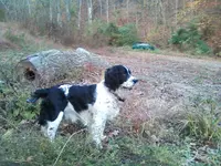 Photo0089.webp