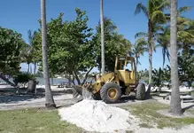 dubois digging 01.webp