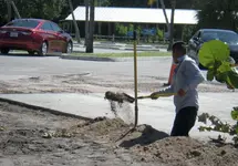 dubois digging 02.webp