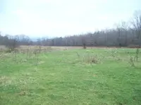 100_1927.webp