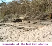 DSCF0995.webp