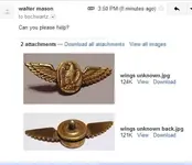 wings email.webp
