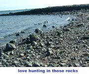 DSCF1003.webp