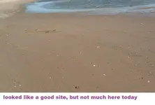 DSCF0998.webp