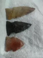 honey hole finds.webp
