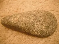 DSCF1066.webp