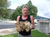 Finds#5.webp