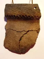 Vinette I, Woodland era sherd NH.webp
