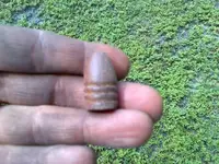 Bullet.webp