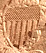 shield lines.webp