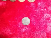 SAM_4673.webp