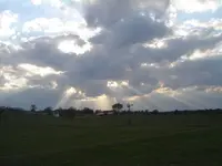 Rooster & clouds 008.webp