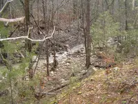 the power of water 006.webp