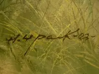 DSCN2613.webp