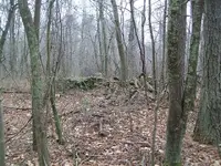 DEC 31st last hunt of 2011 002.webp