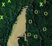 map-adambrcrop.webp