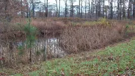 mill 005.webp