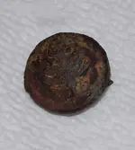 tree button.webp
