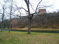 111311 013.webp