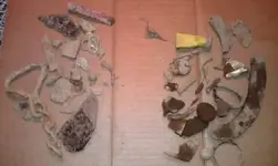 IMAG0368.webp