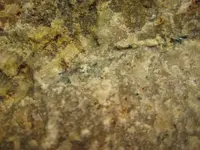Mineral specimen 5.webp