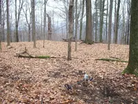 000_0004.webp