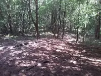 20110831120400.webp