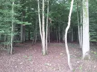 20110826132652.webp
