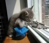 Sniper.webp