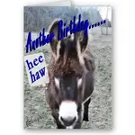 donkey_birthday_customize_it_card-p137028723619729872z7suj_400.webp
