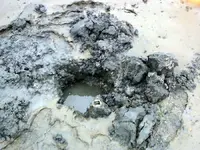 NH FINDS 11-23 013.webp