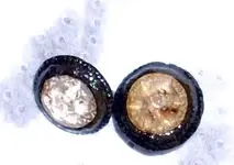 treasure 009.webp