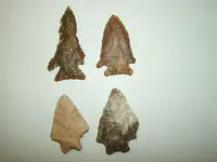 DSCF1906.webp