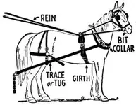 horsegear_trace-strap-&-chain-on-wagon-harness_TN_postedbyBosnMate.webp