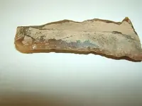 DSCF1918.webp