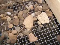 DSCF1974.webp
