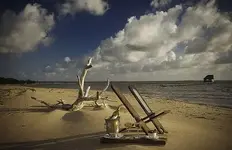 568083.webp 568083.webp