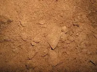 DSCF1983.webp