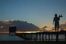 568080.webp 568080.webp