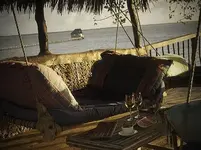 568081.webp 568081.webp