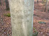DSCF1985.webp