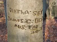 DSCF1987.webp
