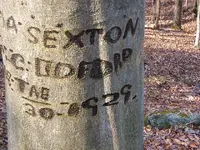 DSCF1989.webp