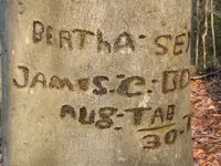 DSCF1991.webp