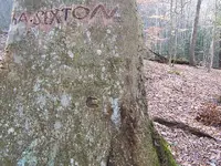 DSCF1994.webp