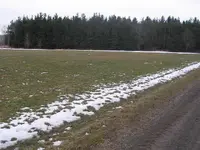 PB130016.webp PB130016.webp
