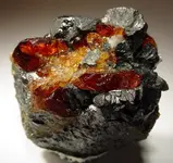 Chondrodite-Magnetite-37952.webp